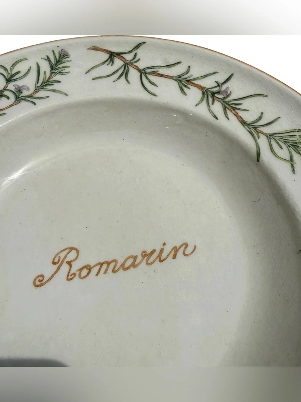Vintage Williams Sonoma Romarin Rosemary Pasta Soup Bowl Italy Retired Rare HTF